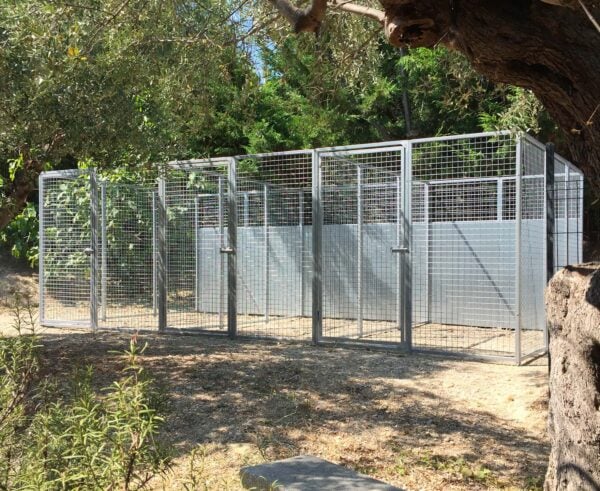 box per cani 3 in linea in acciaio zincato misure box 6x3m