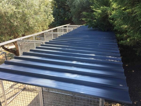 box cani con copertura parziale