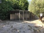box per cani professionali allineati completi di copertura