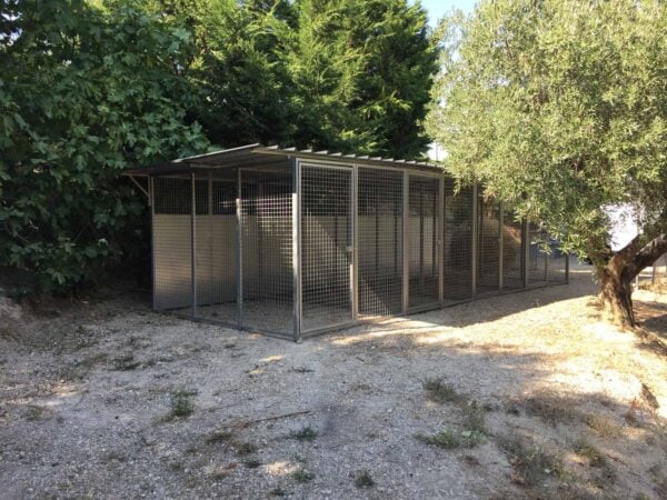 box per cani professionali allineati completi di copertura