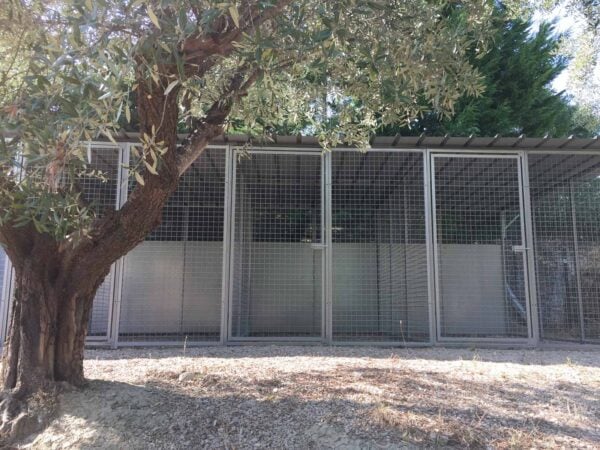 box in linea con copertura