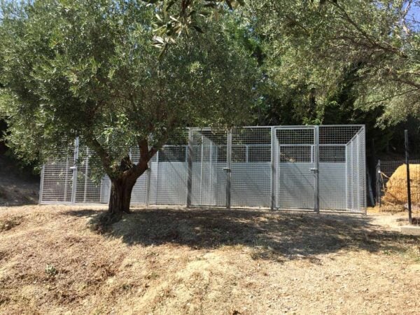 4 box in linea 3x2, senza tetto pannelli modulari in rete elettrosaldata