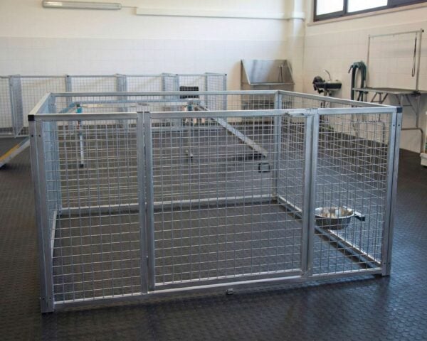 recinto-basso-cane-allevamento-cuccioli-da-interno