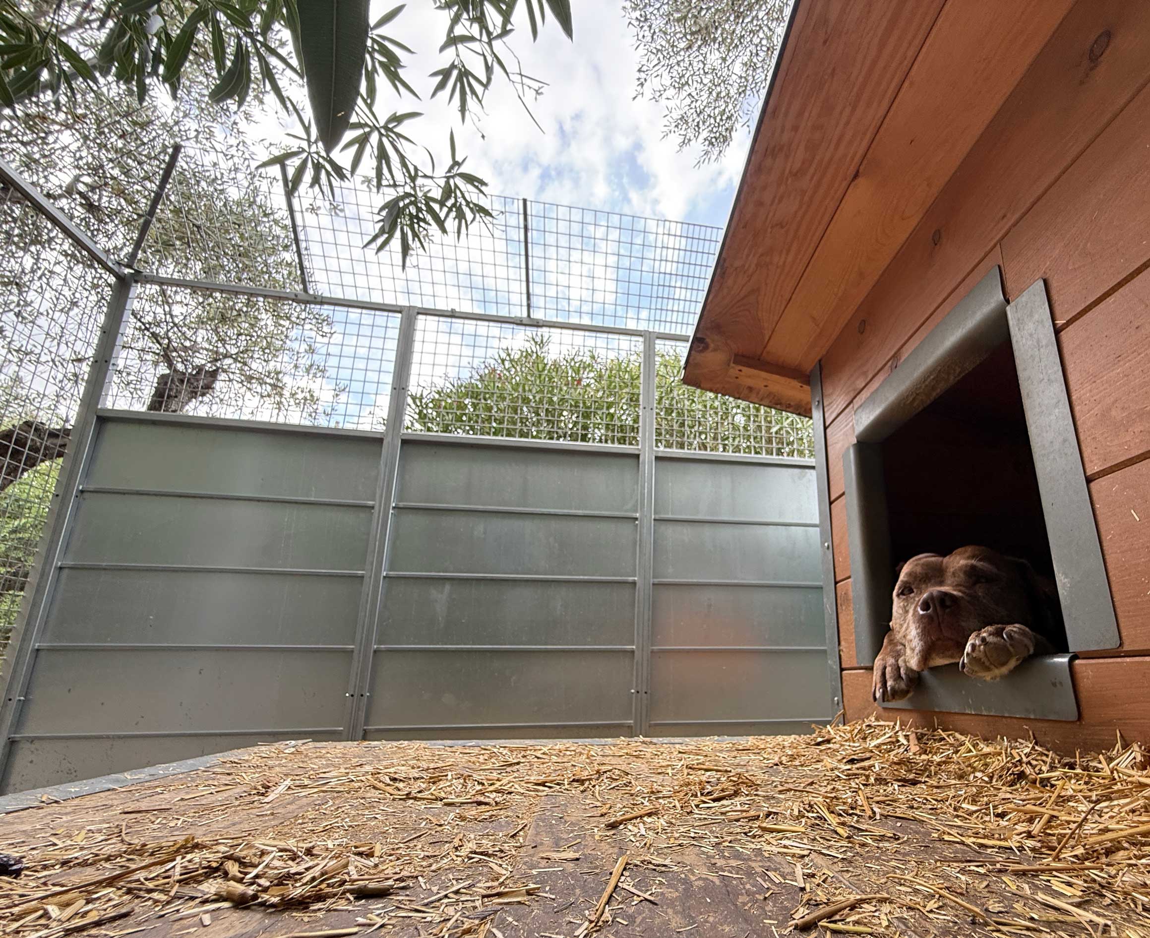 moduli-rete-anti-scavalcamento-cane-box-recinto