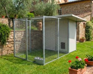 box-cane-da-esterno-zona-notte-coibentata-professionale-tettoia-grecate-coibentate